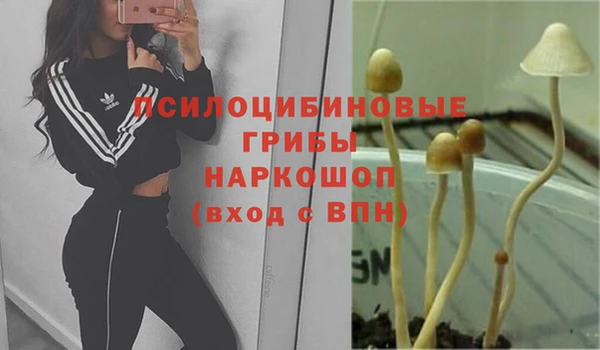 гашик Баксан