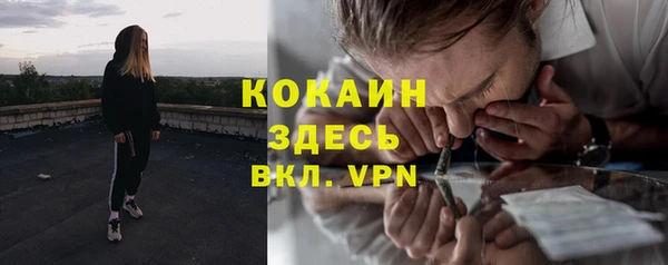 твердый Балахна