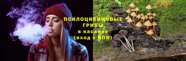 твердый Балахна