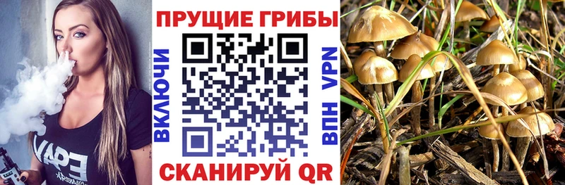 Галлюциногенные грибы GOLDEN TEACHER  omg онион  Кирово-Чепецк 